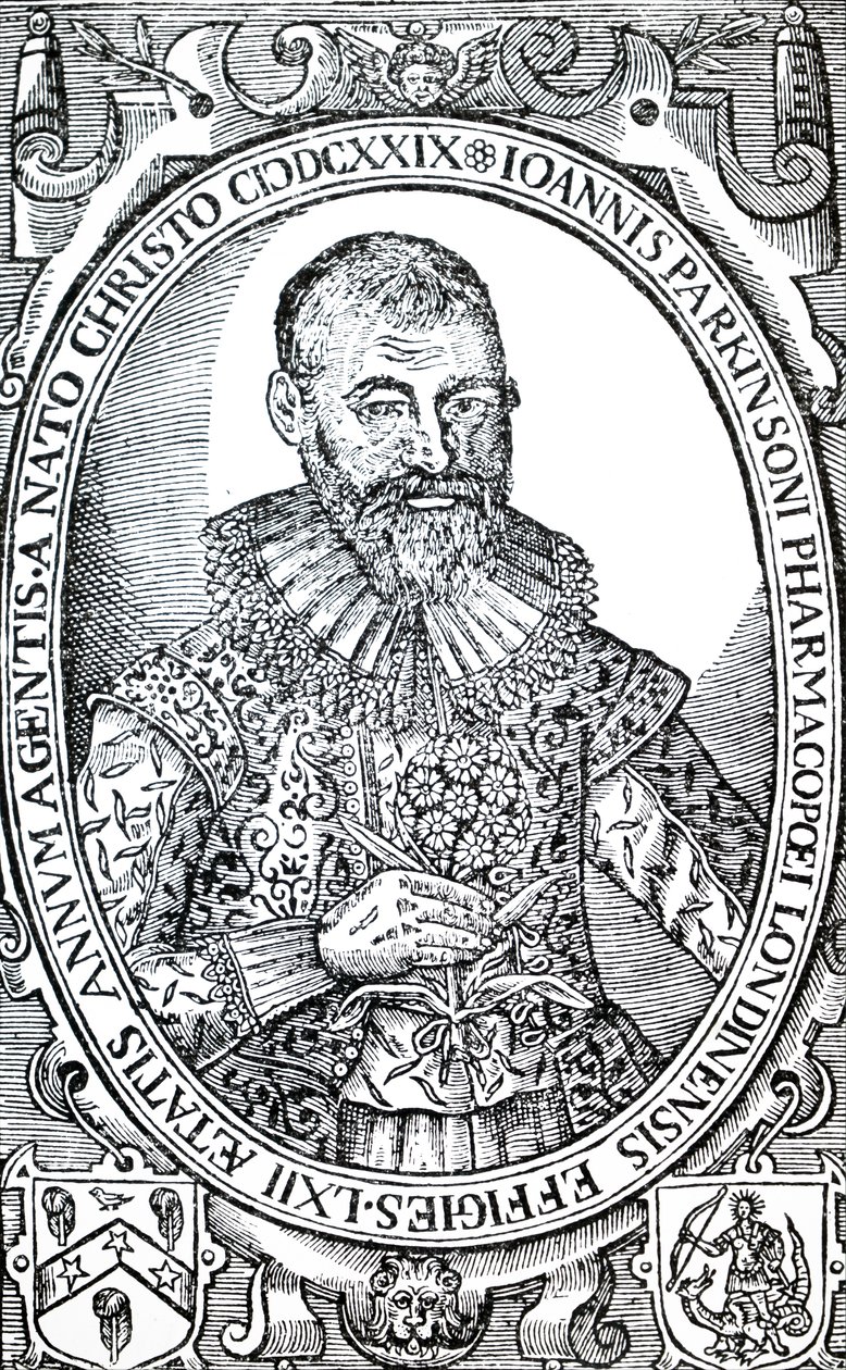 John Parkinson. tekijältä Unbekannt