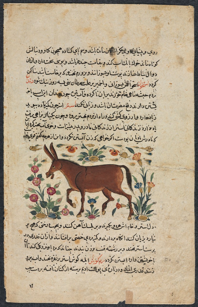 Muut (löydöt), Shahmarda Ibn Abi al-Khairin nezhantami-näyttelijöistä (erinomainen kirja saapumisesta) tekijältä Unbekannt