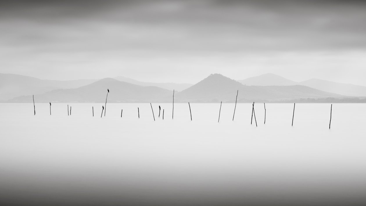 Trasimeno Lake, Umbria, Italia, 2015 (b/w kuva) tekijältä Leopold Blonder