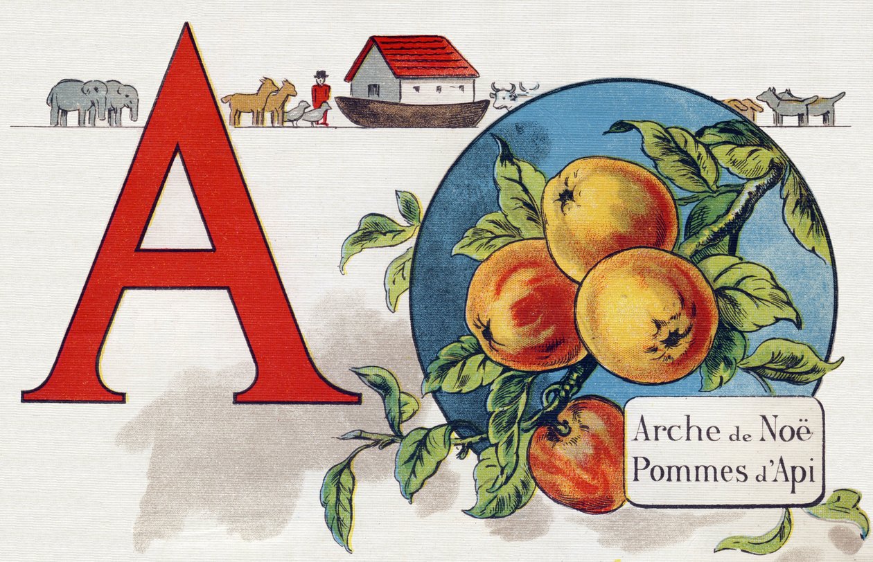 Kirjain A: Noen arkki, Apy Apple. Kaiverrus "ABC L