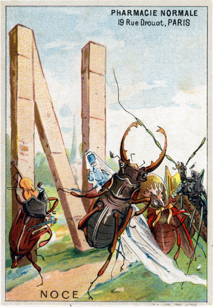 N-kirjain häänä. Mr. Marinierin taiteelliset aakkoset. Toimittanut Henry Sicard, 1800-luvun loppu. Kromolitografien mainostaminen apteekeissa myytäville tuotteille. Mitat: 12,5 x 9 cm tekijältä Unbekannt