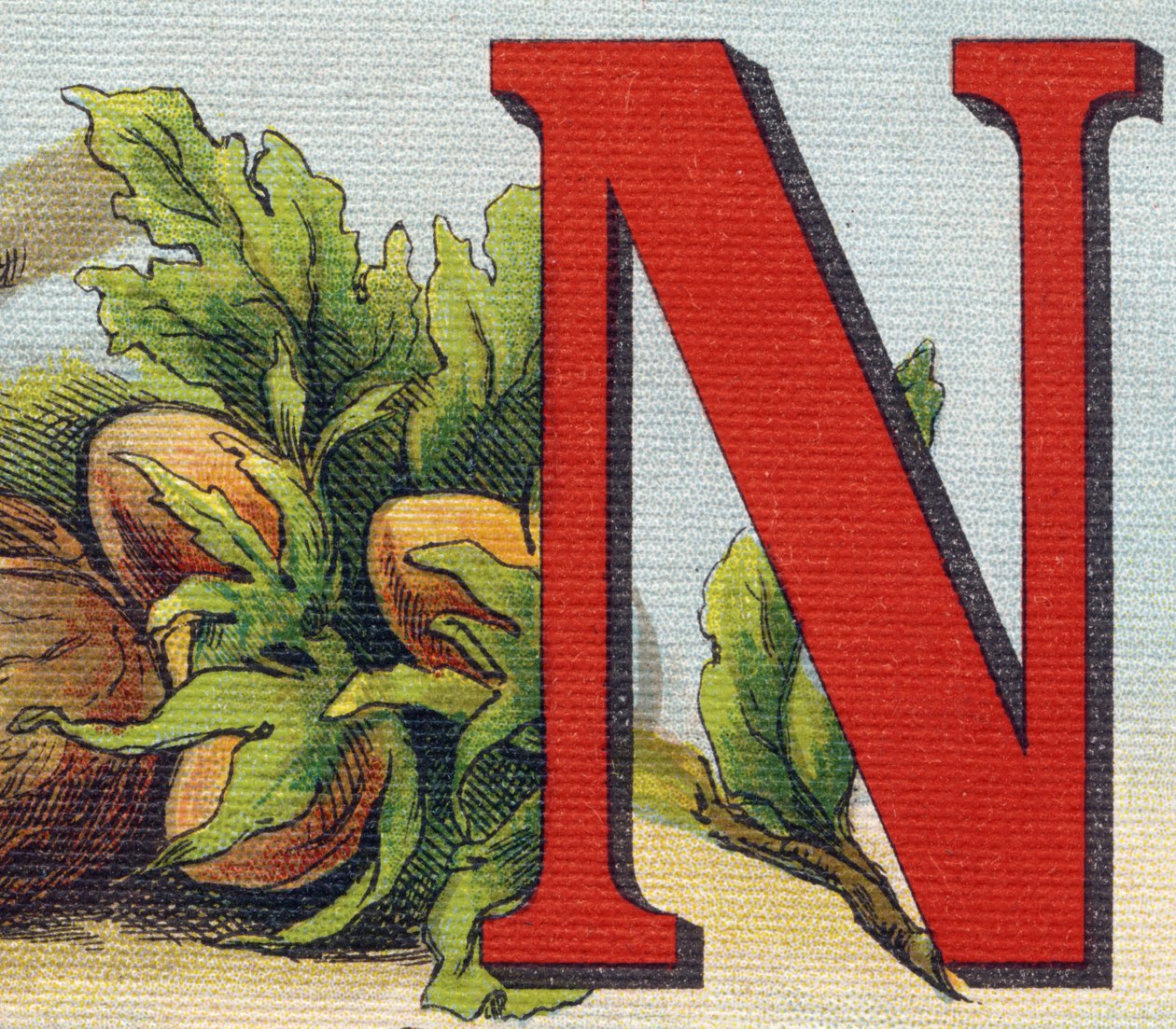 Kirjain N: hasselpähkinät. Kaiverrus "Alphabet de ma petite fille". Bernardin-Bechet ja Fils, kirjakauppias-kustantajat, Pariisi, noin 1895. Rikkoutumaton albumi kankaalle. Bibliotheque des Bebes. 12 sivua. Albumi, joka sisältää lukumenetelmän ja havainnol tekijältä Unbekannt
