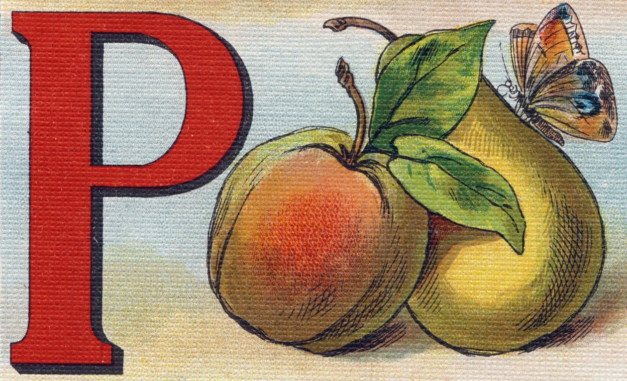 P-kirjain persikkana, päärynänä ja perhosena. Kaiverrus "Alphabet de ma petite fille". Bernardin-Bechet ja Fils, kirjakauppias-kustantajat, Pariisi, noin 1895. Rikkoutumaton albumi kankaalle. Bibliotheque des Bebes. 12 sivua. Albumi, joka sisältää lukumene tekijältä Unbekannt