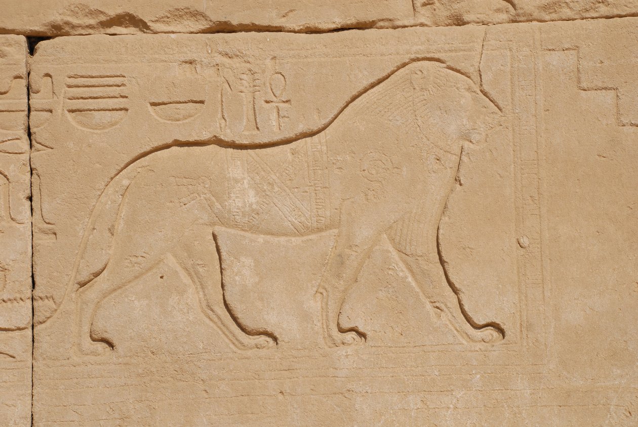 Leijonaveisto, Karnak, Luxor, Egypti (kuva) tekijältä Unbekannt
