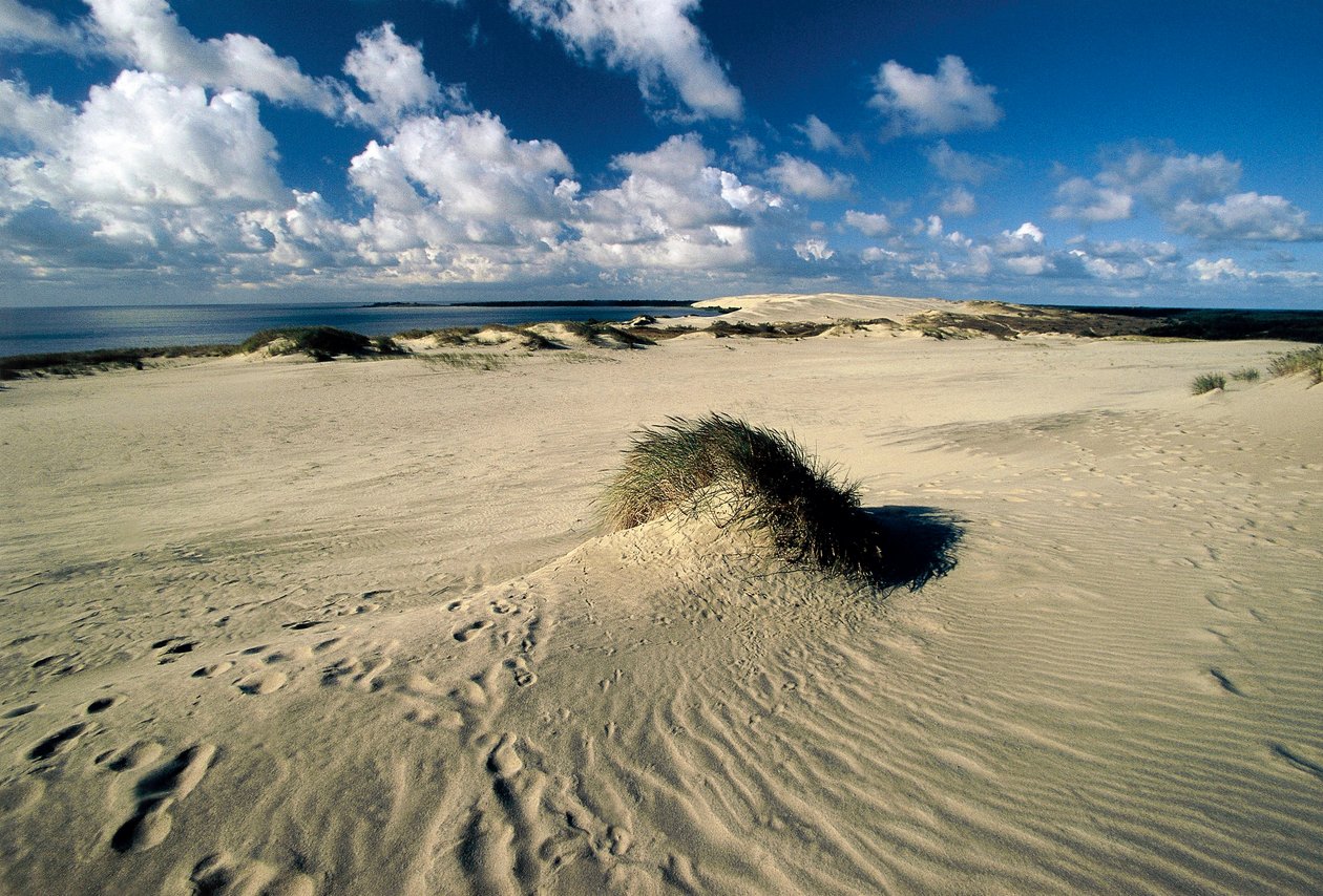 Liettua, Klaipeda, Kuurin kynnäs, Nida, liikkuvat hiekkadyynit nimeltä Preussian Sahara tekijältä William M. Timlin