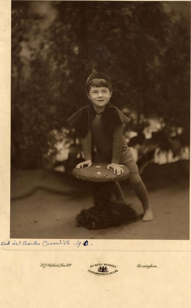 Lordi Charles Cavendish tekijältä William M. Timlin