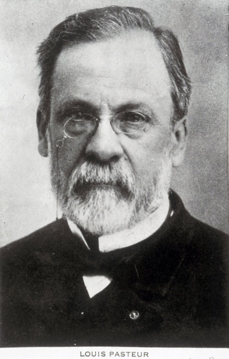 Louis Pasteur, ranskalainen kemisti ja mikrobiologi, noin 1885. tekijältä Unbekannter Künstler