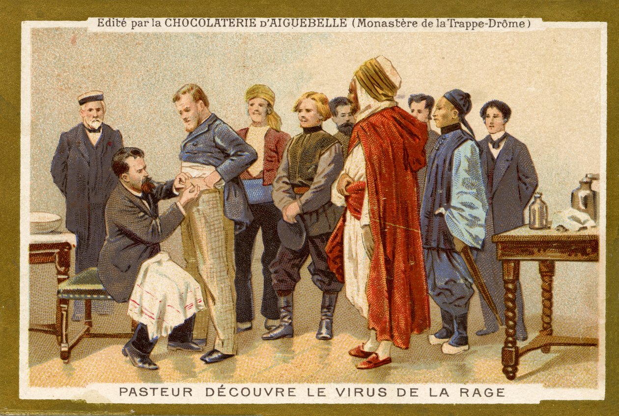 Louis Pasteur löytää raivotautiviruksen. tekijältä Unbekannter Künstler