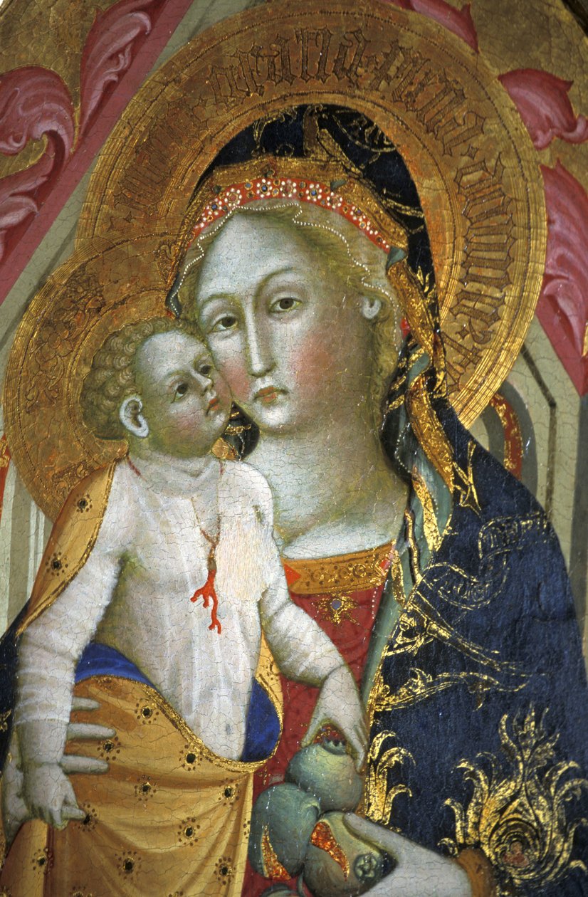 Madonna ja lapsi, Francesco di Gentile, XIV vuosisata, Piersanti-museo, Matelica, Marche, Italia tekijältä Unbekannt
