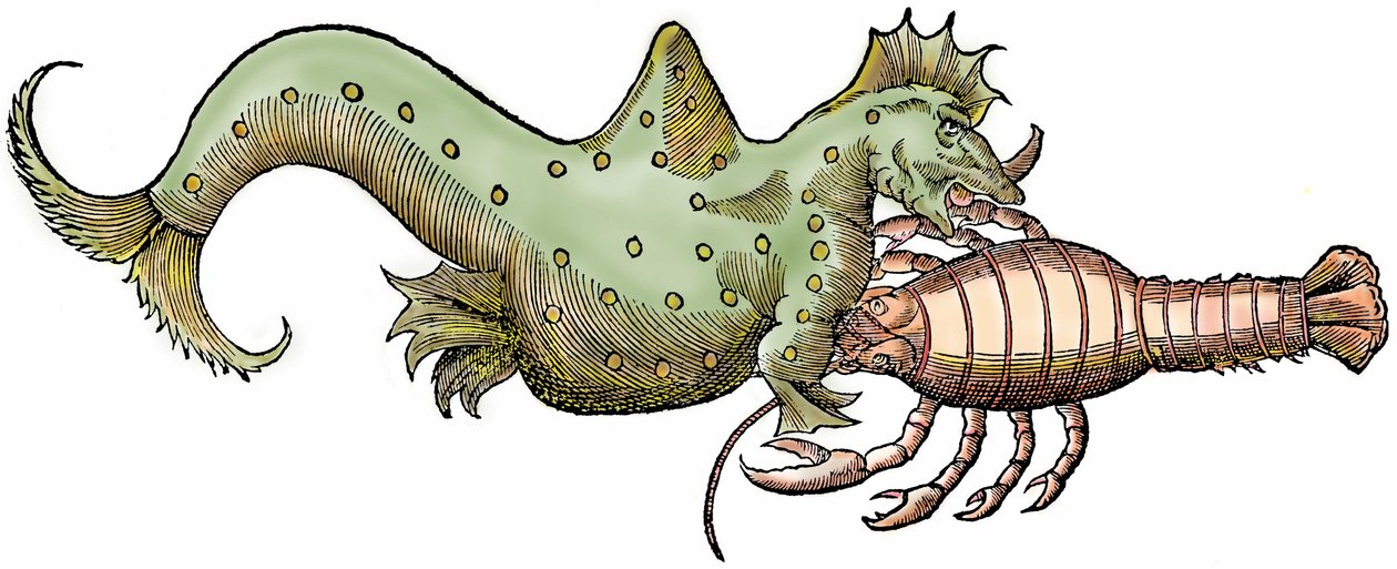 Merilohikäärme ja jättiläisäyriäinen, ksylografia otettu teoksesta "Paralipomena accuratissima historiae omnium animalium quae in voluminibus Aldrovandi desiderantur/Bartholomaeus Ambrosinus... summo labore collegit; Marcus Antonius Berna bibliopola bononi tekijältä Unbekannter Künstler