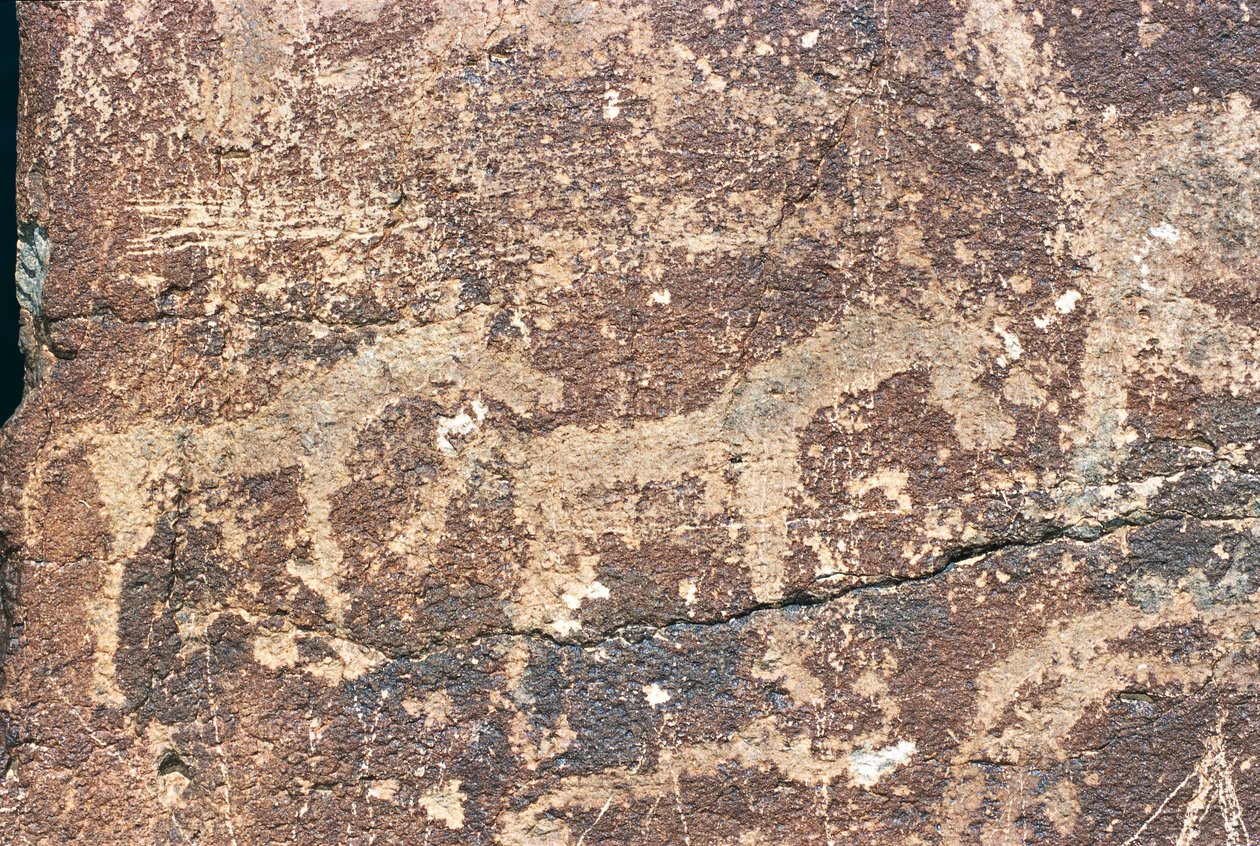 Mongolia, Gobin autiomaa, kalliokaiverrus tekijältä Benjamin Baud