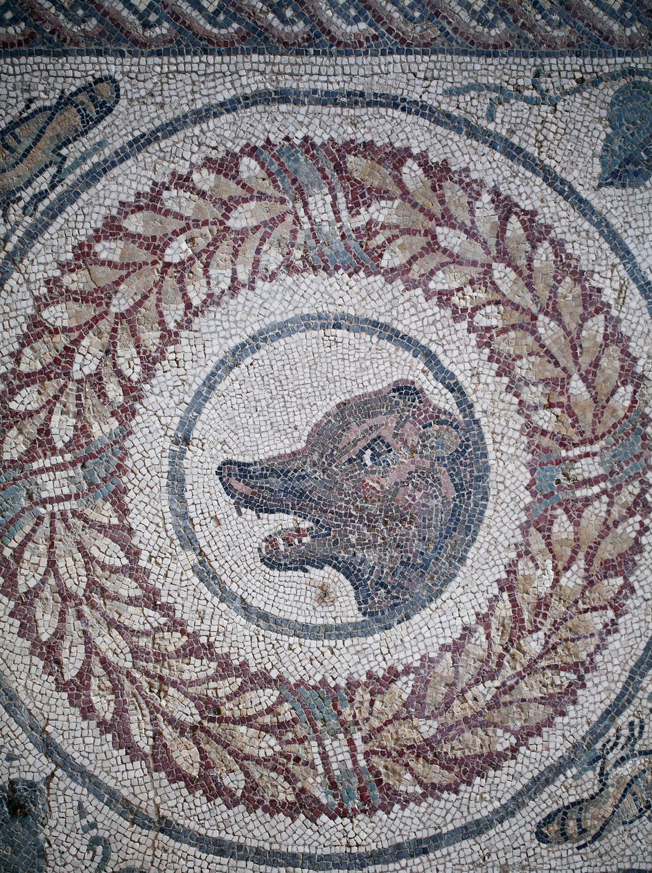 Perstylen mosaiikki. Yksityiskohta, joka edustaa karhun päätä. 3.-4. vuosisadalla. Roomalainen huvila Casalessa, Sisiliassa. Unescon sivusto. tekijältä William M. Timlin
