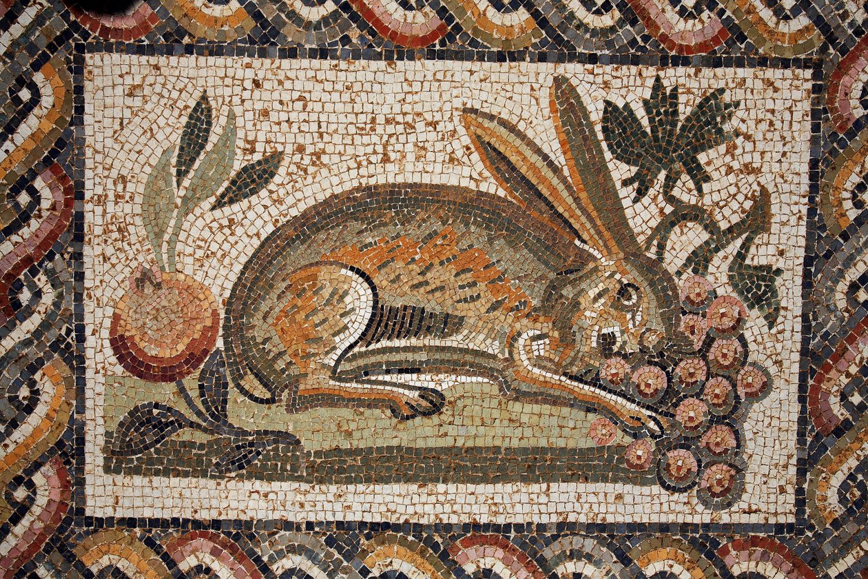 Mosaiikki, joka esittää jänistä, jolla on rypäleterttuja laiduntava vakoojakatso (2. vuosisadan toinen puolisko jKr.) / in situ El Jem (Antique Thysdrus) / Tunisia tekijältä Unbekannt