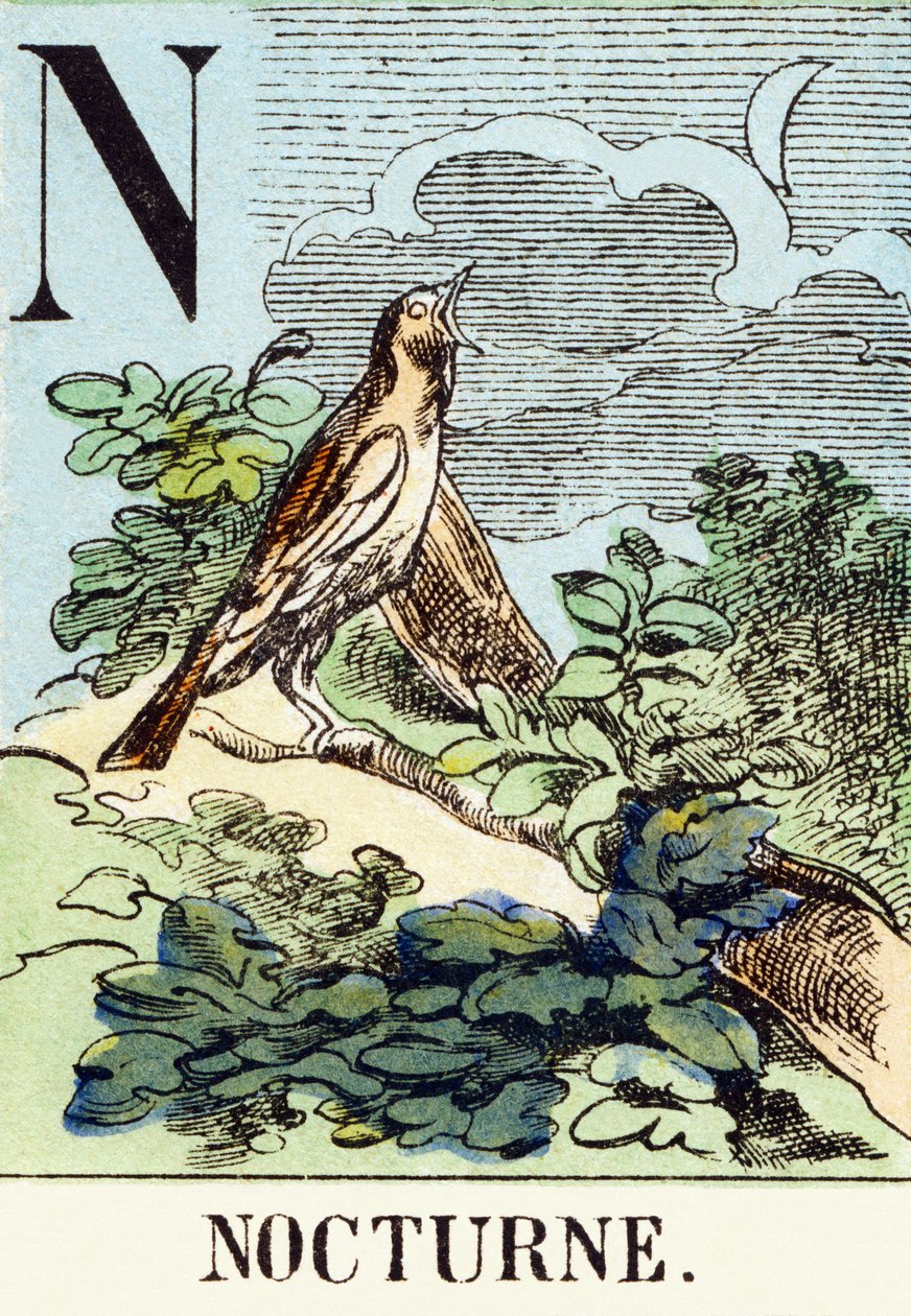 N : Nocturne - Metsästysaakkoset, n.1890 (kaiverrus) tekijältä Unbekannt