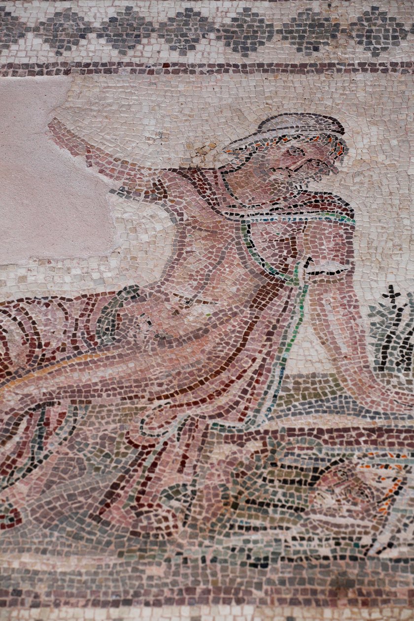 Narkissos katselee heijastustaan vesialtaassa - Pafoksen mosaiikit, Dionysoksen talo - 2. vuosisadan loppu jKr - Kypros - Narkissoksen mietiskely altaan yläpuolella - Pafoksen mosaiikit, Dionysoksen talo - II sciecle ap JC - UNESCO Sivusto, Kypros tekijältä William M. Timlin
