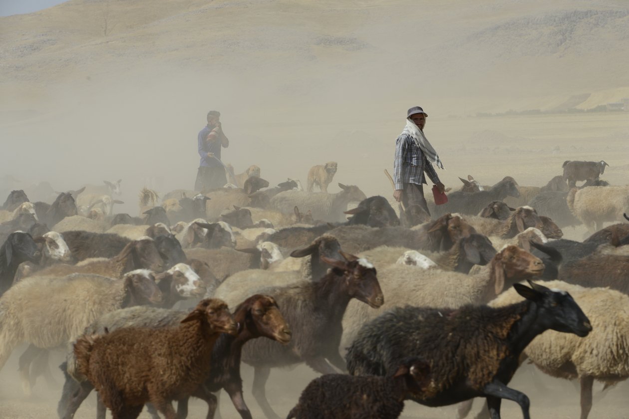 Nomaditeltat Tamarin ja Ashkhanehin välillä, Iran 2022 (valokuvaus) tekijältä Unbekannter Künstler