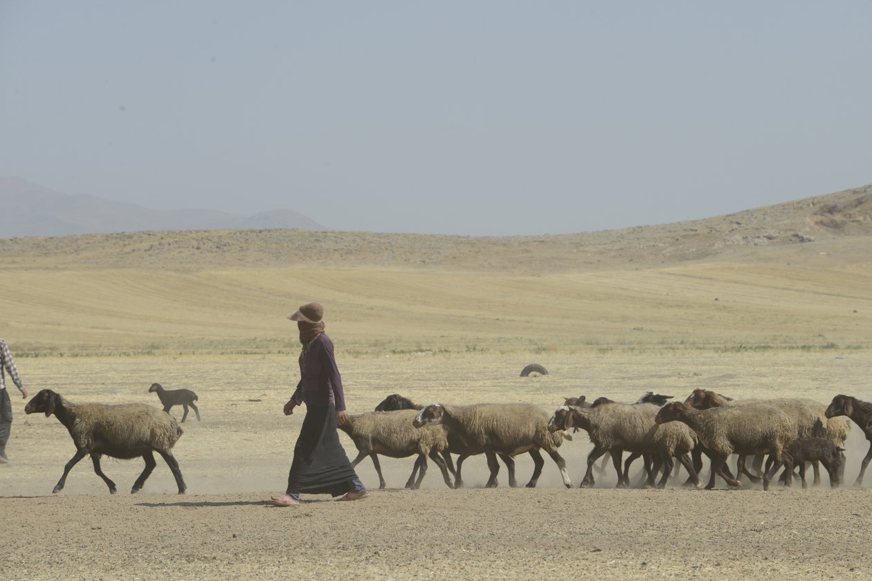 Nomaditeltat Tamarin ja Ashkhanehin välillä, Iran 2022 (valokuvaus) tekijältä Unbekannter Künstler