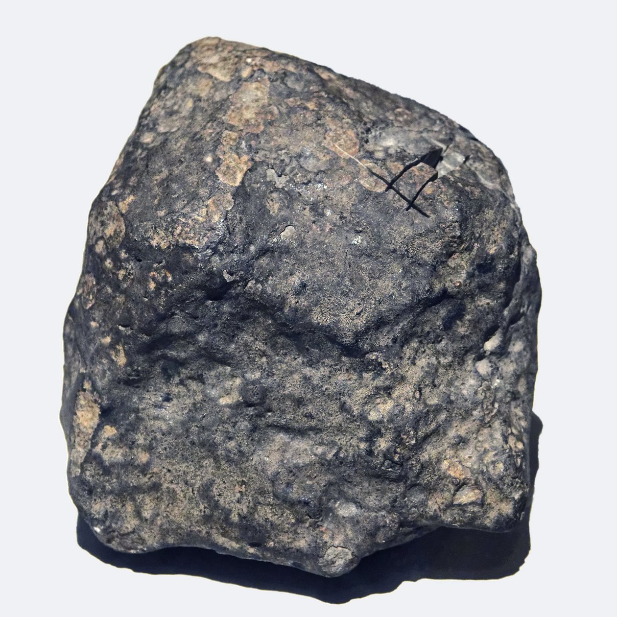 Tavallinen kondriitti (L/LL5). Toimbee Ukrainassa vuonna 1866. Kansallinen luonnonhistoriallinen museo, Pariisi. tekijältä Unbekannt
