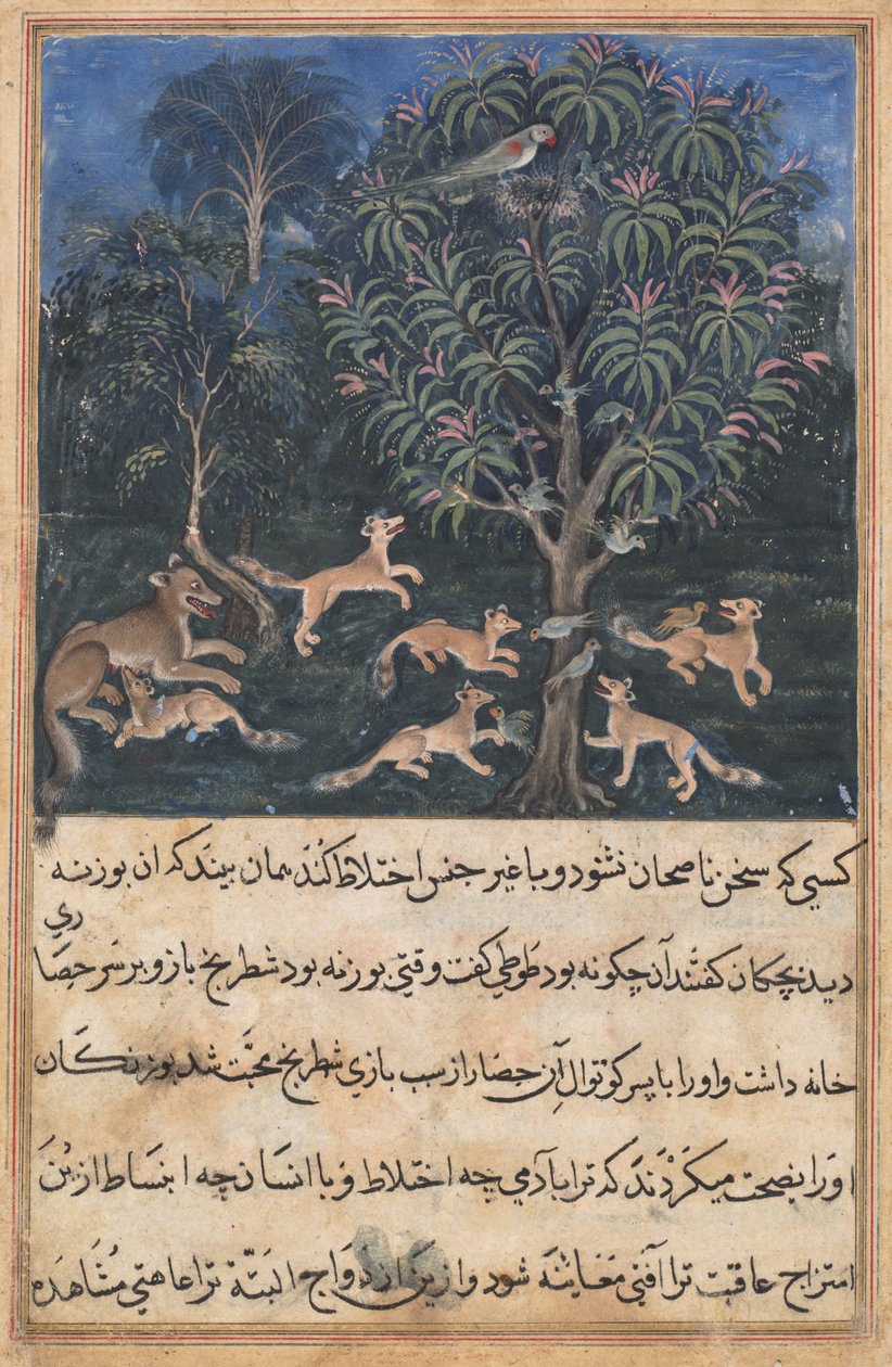 Sivu julkaisusta Tales of a Parrot (Tuti-nama): Viides yö: Papukaijaäiti varoittaa poikasiaan kettujen kanssa leikkimisen vaarasta, n. 1560 (läpinäkymätön akvarelli, kulta ja muste paperille) tekijältä Unbekannt