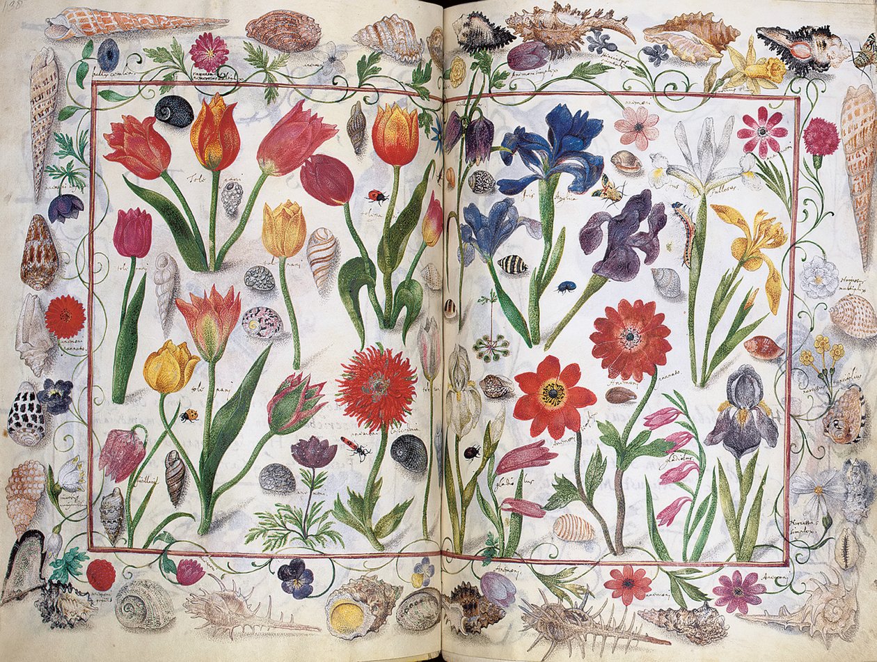 Sivuja Philipp Hainhoferin albumilta Amicorum, 1596-1633 tekijältä Unbekannt