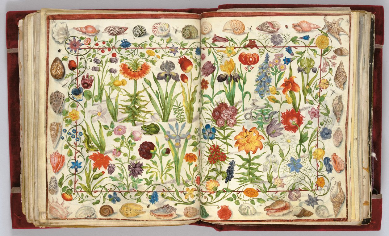 Sivuja Philipp Hainhoferin albumilta Amicorum, 1596-1633 tekijältä Unbekannt