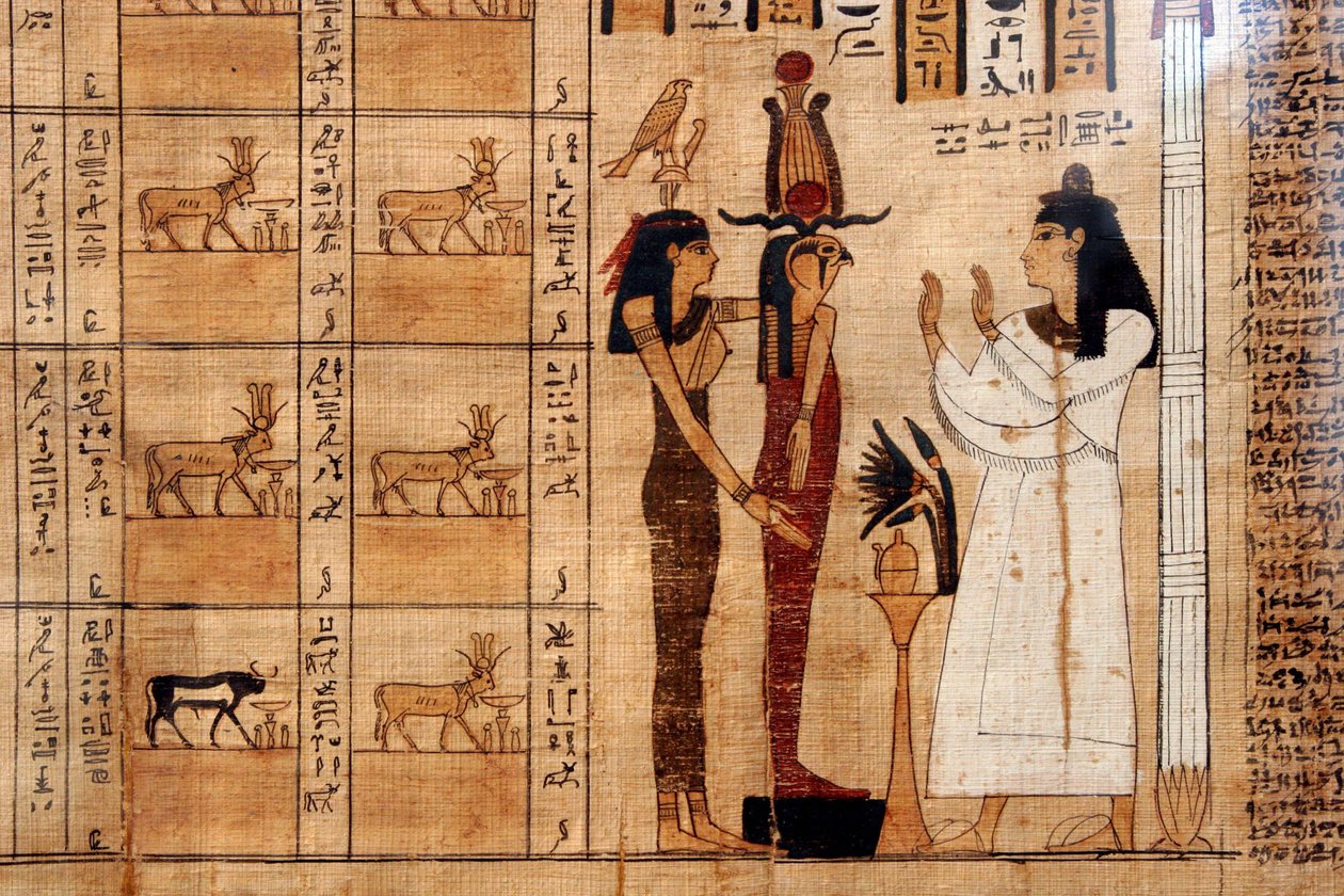 Papyrus kuolleiden kirjasta, Egyptiläinen museo, Torino tekijältä Unbekannt