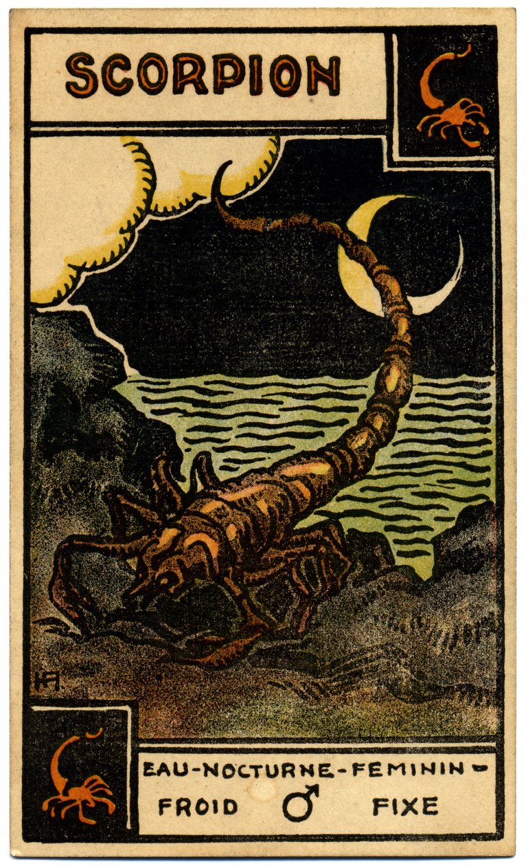 Paranormaalia. Astrologia. Skorpioni (Skorpioni). Astrologinen kortti: Le Tarot Astrologique (Astrologinen Tarot), kirjoittanut Georges Muchery, Ranska tekijältä Unbekannter Künstler