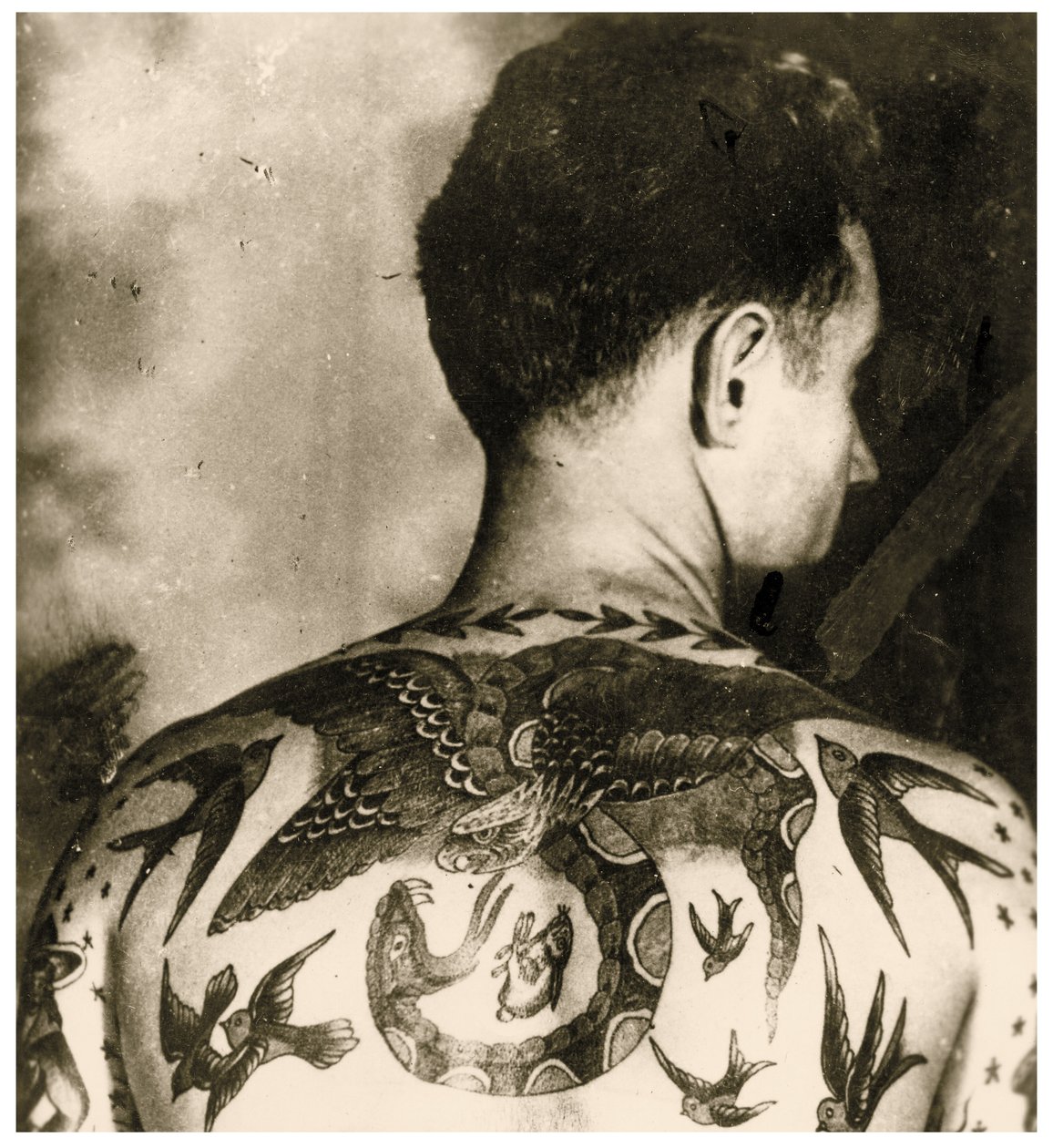 Tom Stephenin muotokuva, Bert Grimmin tatuoima, noin 1942 (kuva). tekijältä Unbekannter Künstler