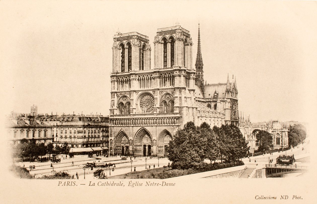 Postikortti / Notre Dame / Pariisi / Seine / Ile de France / Ranska tekijältä William M. Timlin