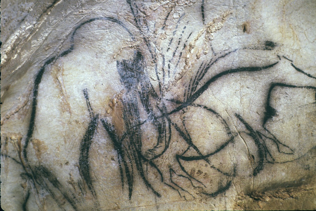 Esihistoriallinen Pech Merlen luola / Mammuttien kappeli / 25 000 vuotta / Cabrerets / Lot / Midi Pyrenees / Ranska tekijältä Unbekannt