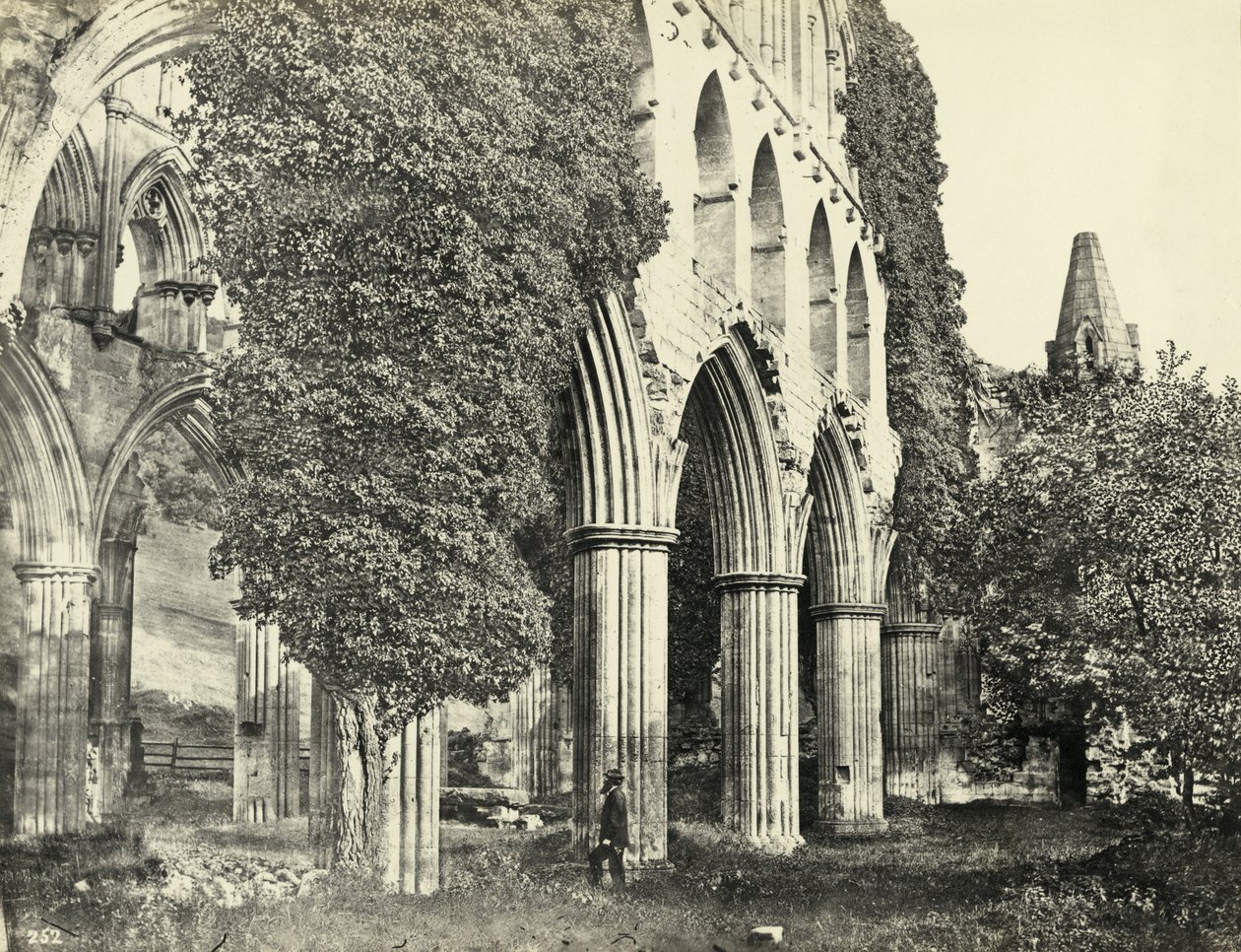 Rievaulx Abbey, North Yorkshire, Iso-Britannia (m/w kuva) tekijältä Unbekannter Künstler