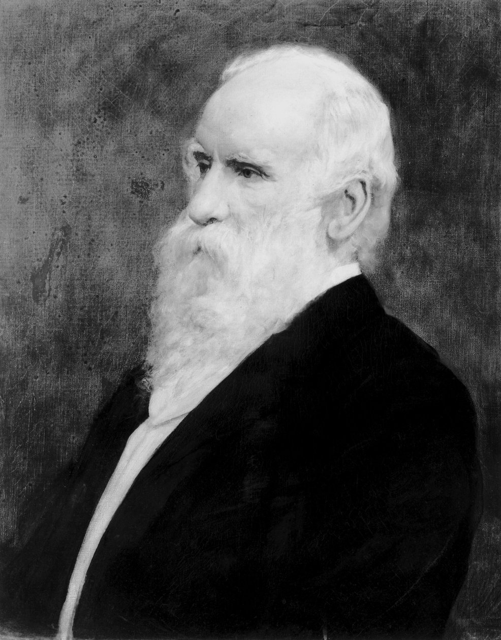 Robert Stirling Newall, englantilainen insinööri ja tähtitieteilijä, n. 1875 tekijältä Unbekannt