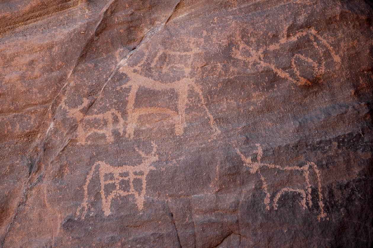Kalliotaide, Prehistoire: Kaiverrus karjasta, joista yksi on alhaalla vasemmalla, Uweinatin vuoristossa, Egyptissä. (Ajanjakso 8000-3000 vuotta eKr.). Valokuvaus tekijältä Unbekannt