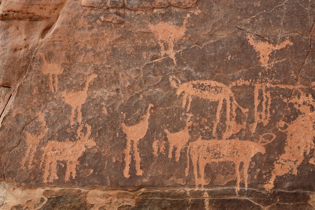 Kalliotaide, esihistoria: Yksityiskohta kaiverruksesta strutseista ja nautaeläimistä Uweinatin vuoristossa, Egyptissä (kausi 8000–3000 vuotta eKr.). Valokuvaus tekijältä Unbekannt
