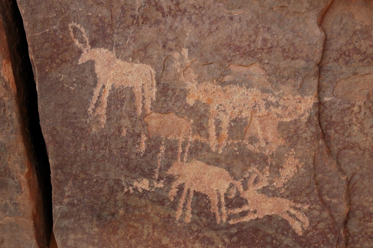 Kalliotaide, esihistoria: Kaiverrus antilooppeista ja koirasta (alhaalla oikealla) Uweinatin vuoristossa, Egyptissä. (Ajanjakso 8000-3000 vuotta eKr.). Valokuvaus tekijältä Unbekannt