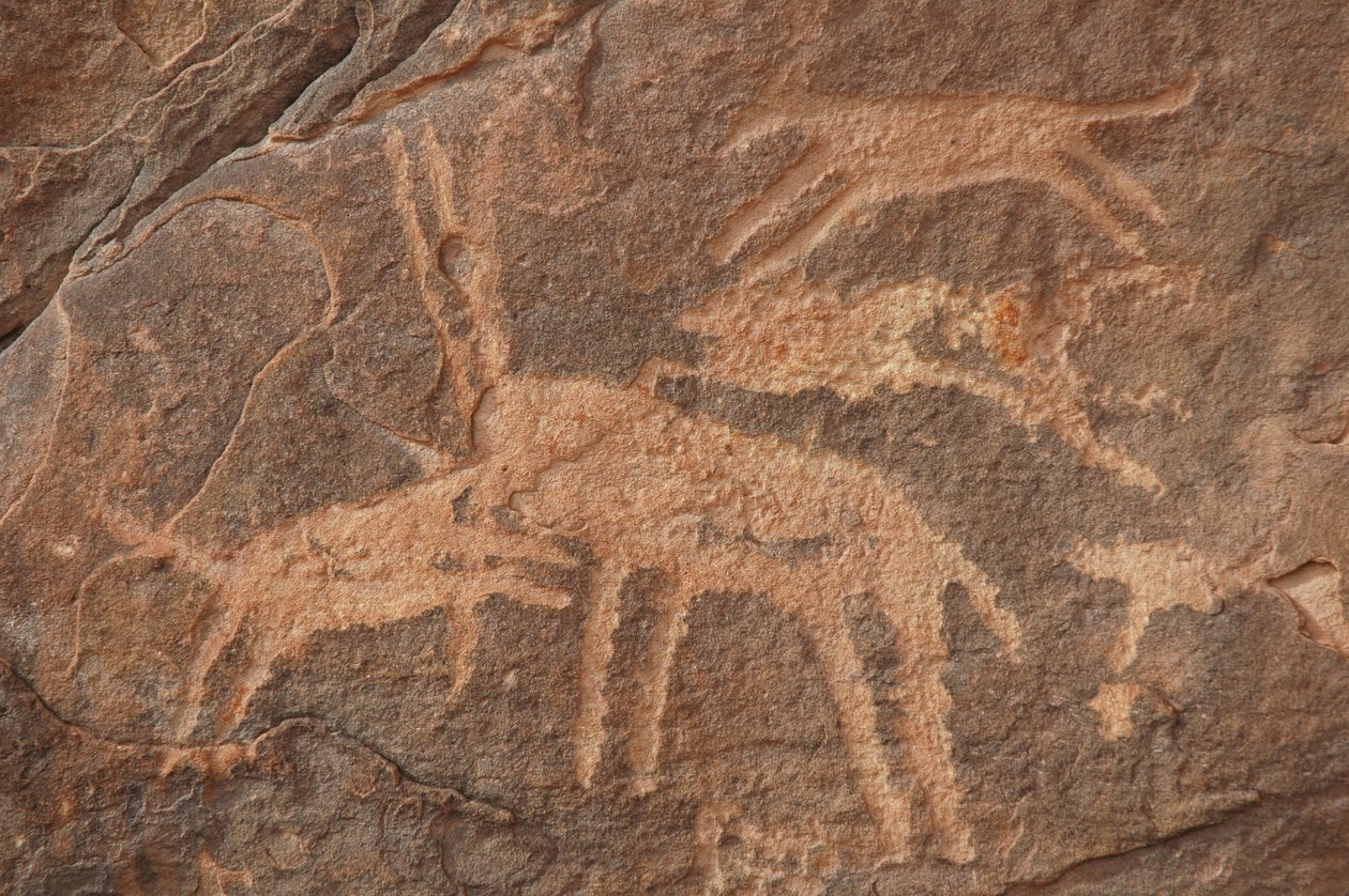 Kalliotaide, esihistoria: Kaiverrus antilooppista, jolle koiralauma hyökkäsi Uweinatin vuoristossa, Egyptissä (kausi 8000–3000 vuotta eKr.). Valokuvaus tekijältä Unbekannt