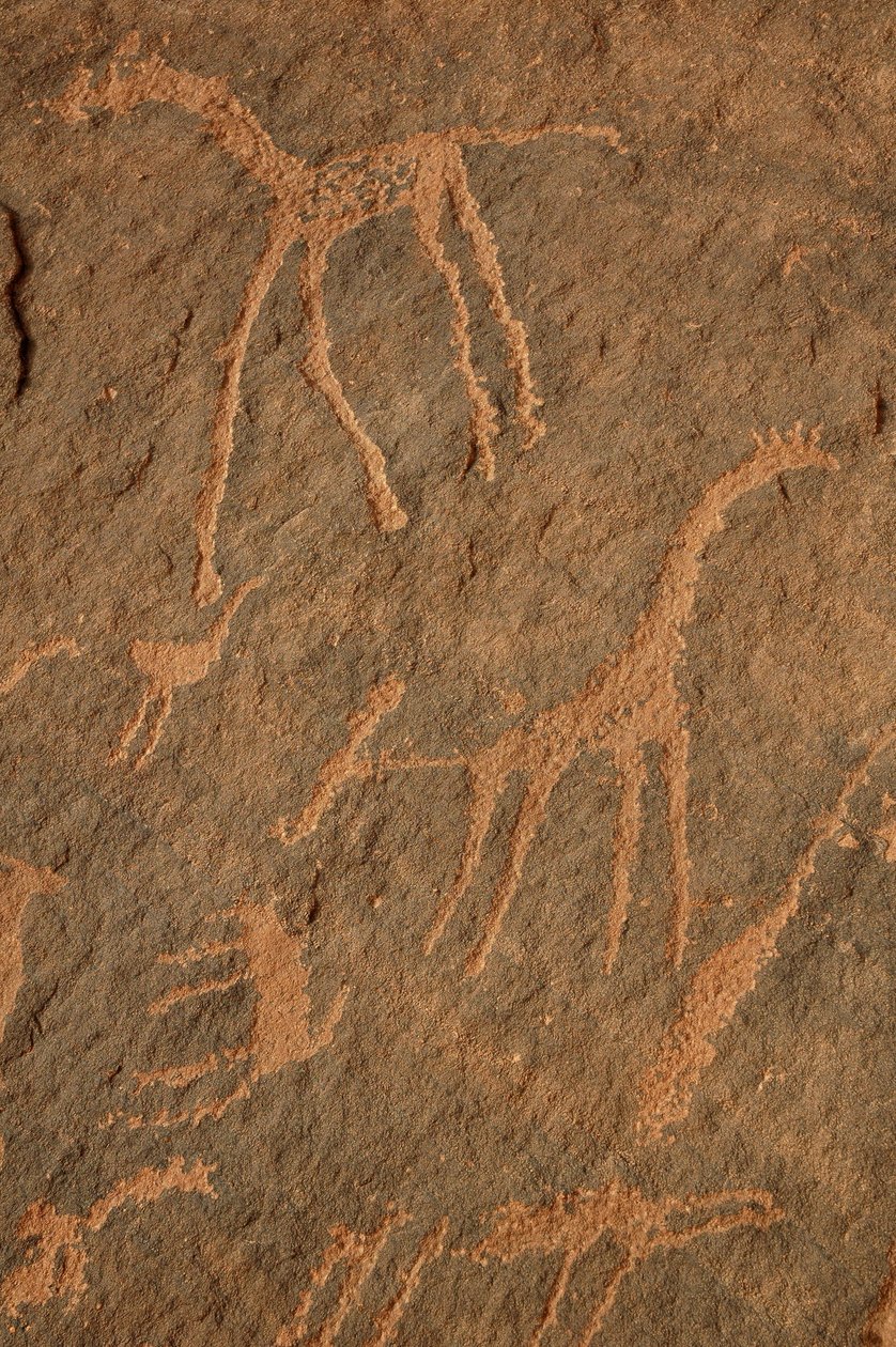 Kalliotaidetta, esihistoriaa: Kaiverrus kirahveista, strutseista, muista eläimistä ja hahmoista Uweinatin massiivissa, Sudanissa (Karkur-Talh tai Karkur Talh). Ajanjakso 8000-3000 vuotta eKr. Valokuvaus tekijältä Unbekannt