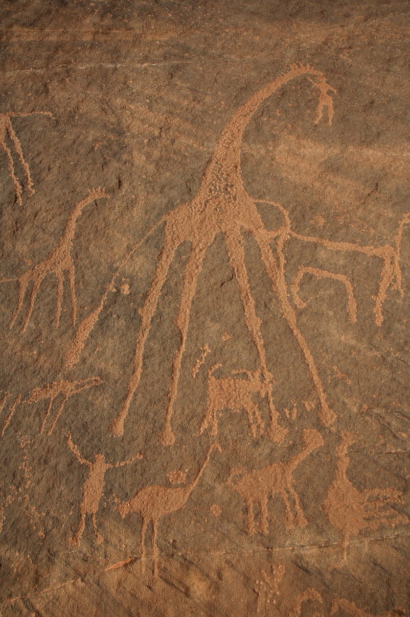 Kalliotaidetta, esihistoriaa: Kaiverrus kirahveista, strutseista, lampaista ja hahmoista Uweinatin massiivissa, Sudanissa (Karkur-Talh tai Karkur Talh). Ajanjakso 8000-3000 vuotta eKr. Valokuvaus tekijältä Unbekannt