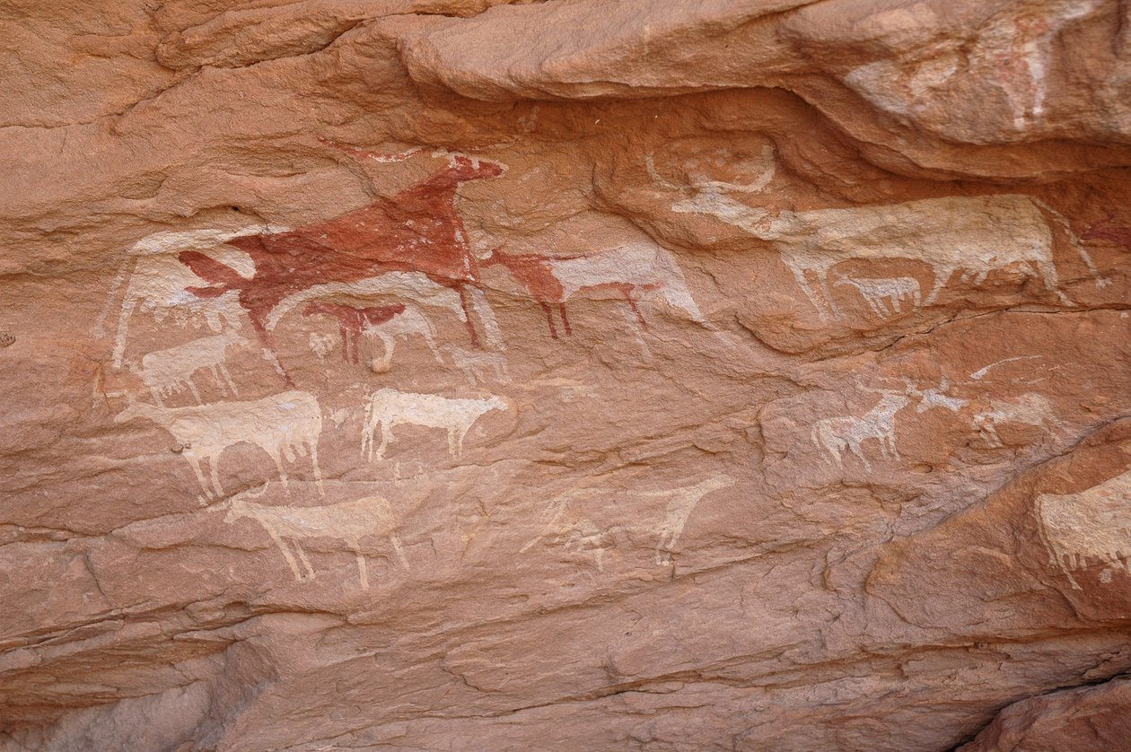 Kalliotaide, esihistoria: Maalaus karjajoukosta koristeellisessa suojissa, Uweinatin vuoristossa, Sudanissa (Karkur-Talh tai Karkur Talh). Ajanjakso 8000-3000 vuotta eKr. Valokuvaus tekijältä Unbekannt