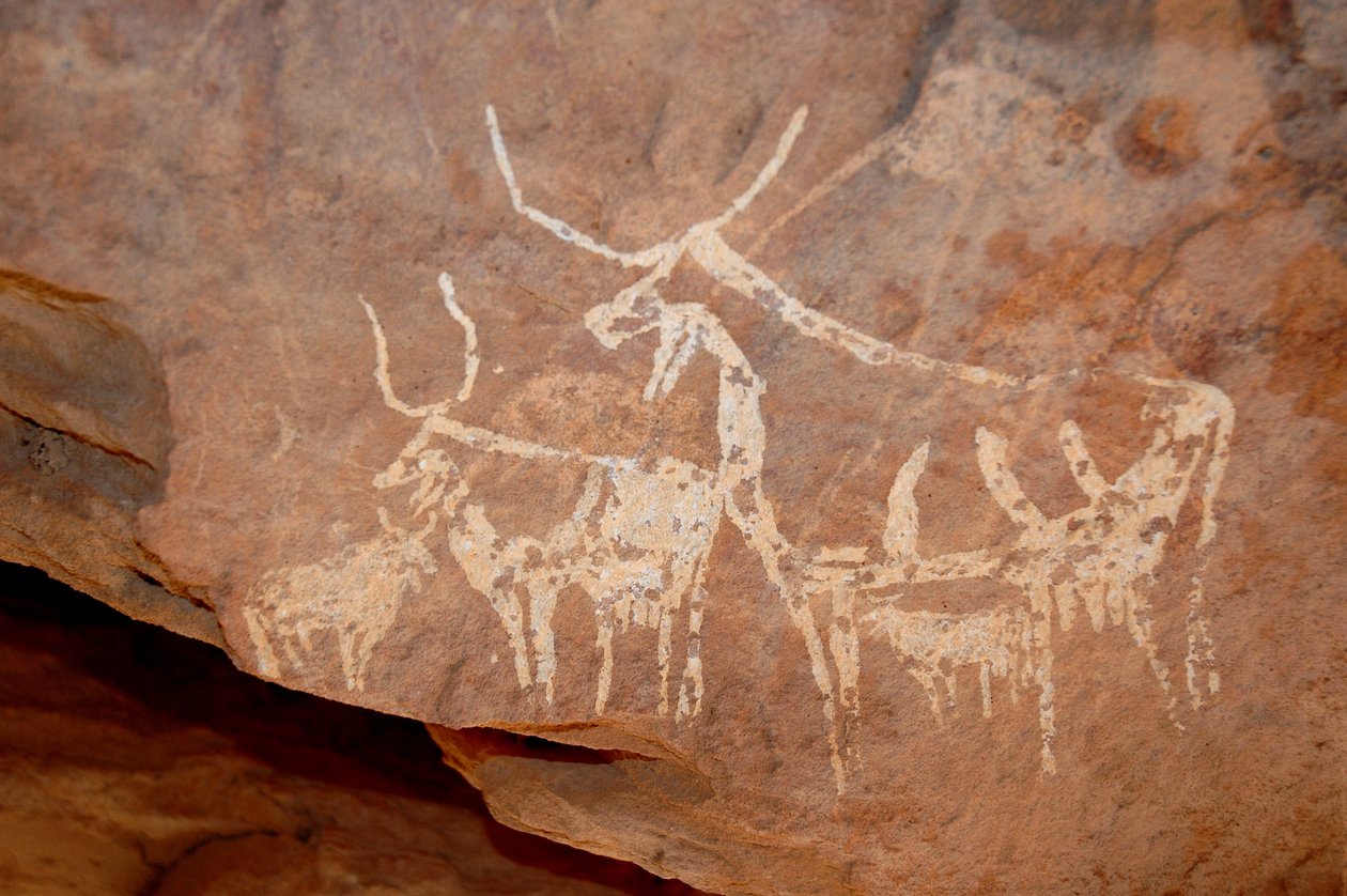 Kalliotaide, esihistoria: Kalliomaalauskarja, jolla on isosarvi, suojassa, joka on koristeltu Uweinatin vuoristossa, Sudanissa (Karkur-Talh tai Karkur Talh). Ajanjakso 8000-3000 vuotta eaa. Valokuvaus tekijältä Unbekannt