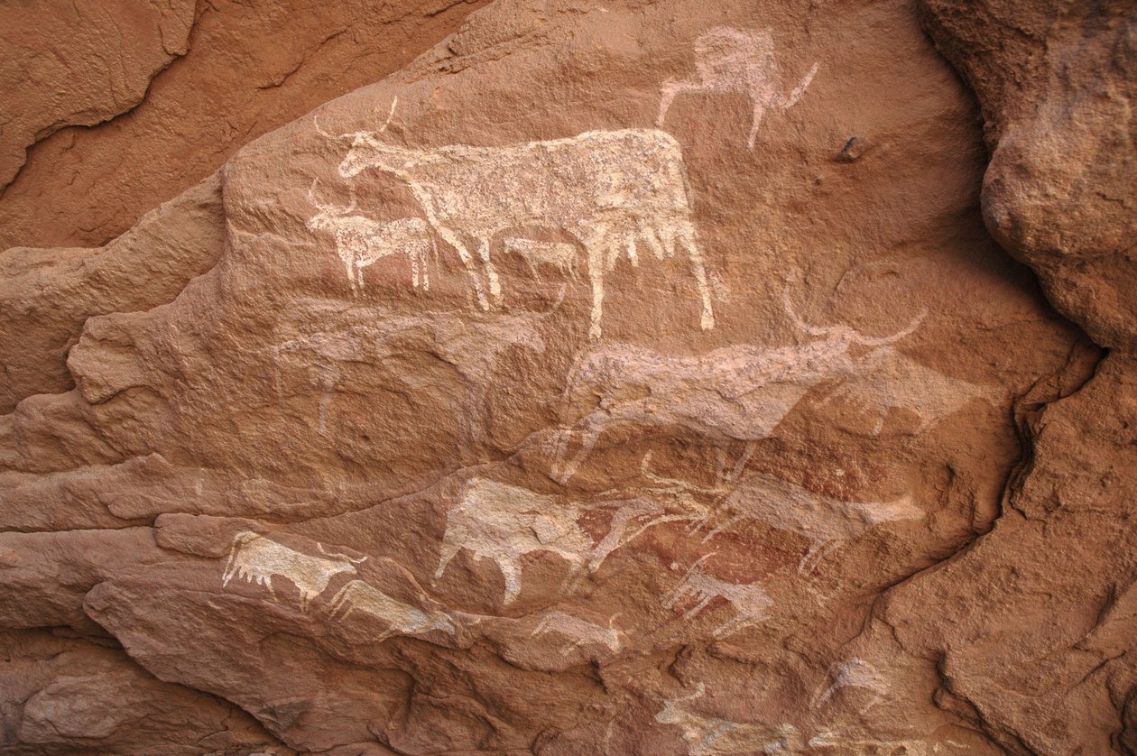 Kalliotaide, esihistoria: Kalliomaalaus karjaryhmästä koristeellisessa suojissa Uweinatin ylängöllä, Sudanissa (Karkur-Talh tai Karkur Talh). Ajanjakso 8000-3000 vuotta eKr. Valokuvaus tekijältä Unbekannt