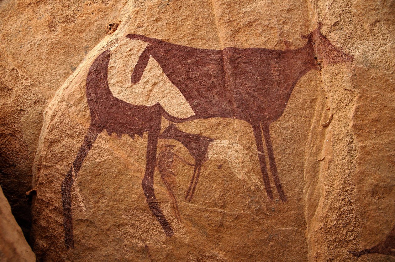 Kalliotaide, esihistoria: Kalliomaalaus suuresta kaksisävyisestä lehmästä ja sen vasikasta koristeellisessa suojissa Uweinatin vuoristossa, Sudanissa. Ajanjakso 8000-3000 vuotta eKr. Valokuvaus tekijältä Unbekannt
