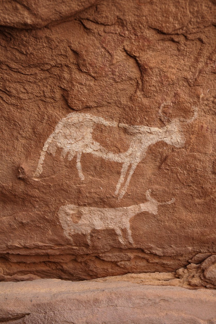 Kalliotaide, Esihistoria: Kalliomaalaus kahdesta suurisarvista lehmästä (pitkä sarvi) koristeellisessa suojissa Uweinatin massiivissa, Sudanissa (Karkur-Talh tai Karkur Talh). Ajanjakso 8000-3000 vuotta eKr. Valokuvaus tekijältä Unbekannt