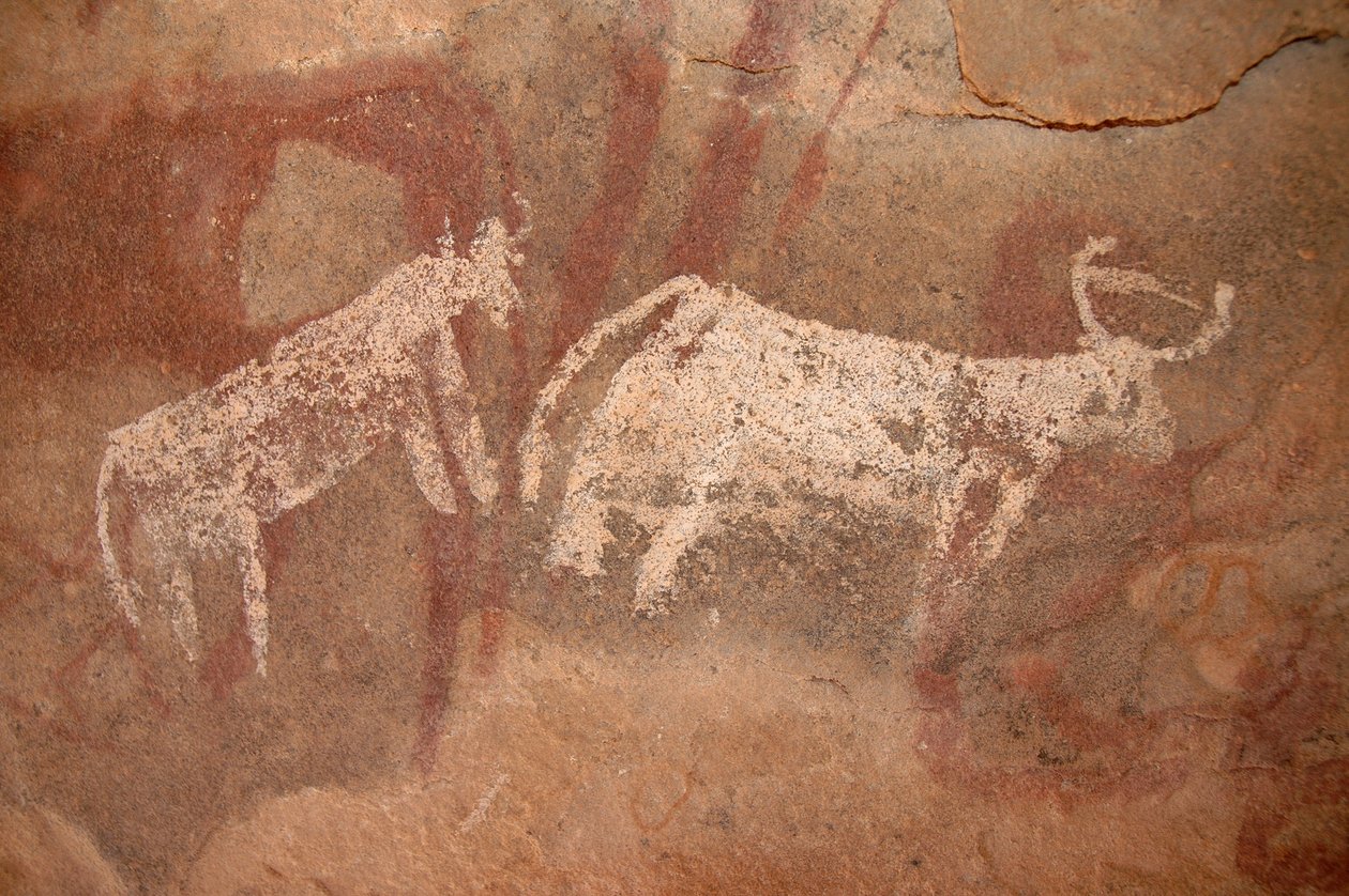 Kalliotaide, Esihistoria: Kalliomaalaus valkoisista ja kaksisävyisistä nautakarjasta koristeellisessa suojissa Uweinatin vuoristossa, Sudanissa (Karkur-Talh tai Karkur Talh). Ajanjakso 8000-3000 vuotta eKr. Valokuvaus tekijältä Unbekannt