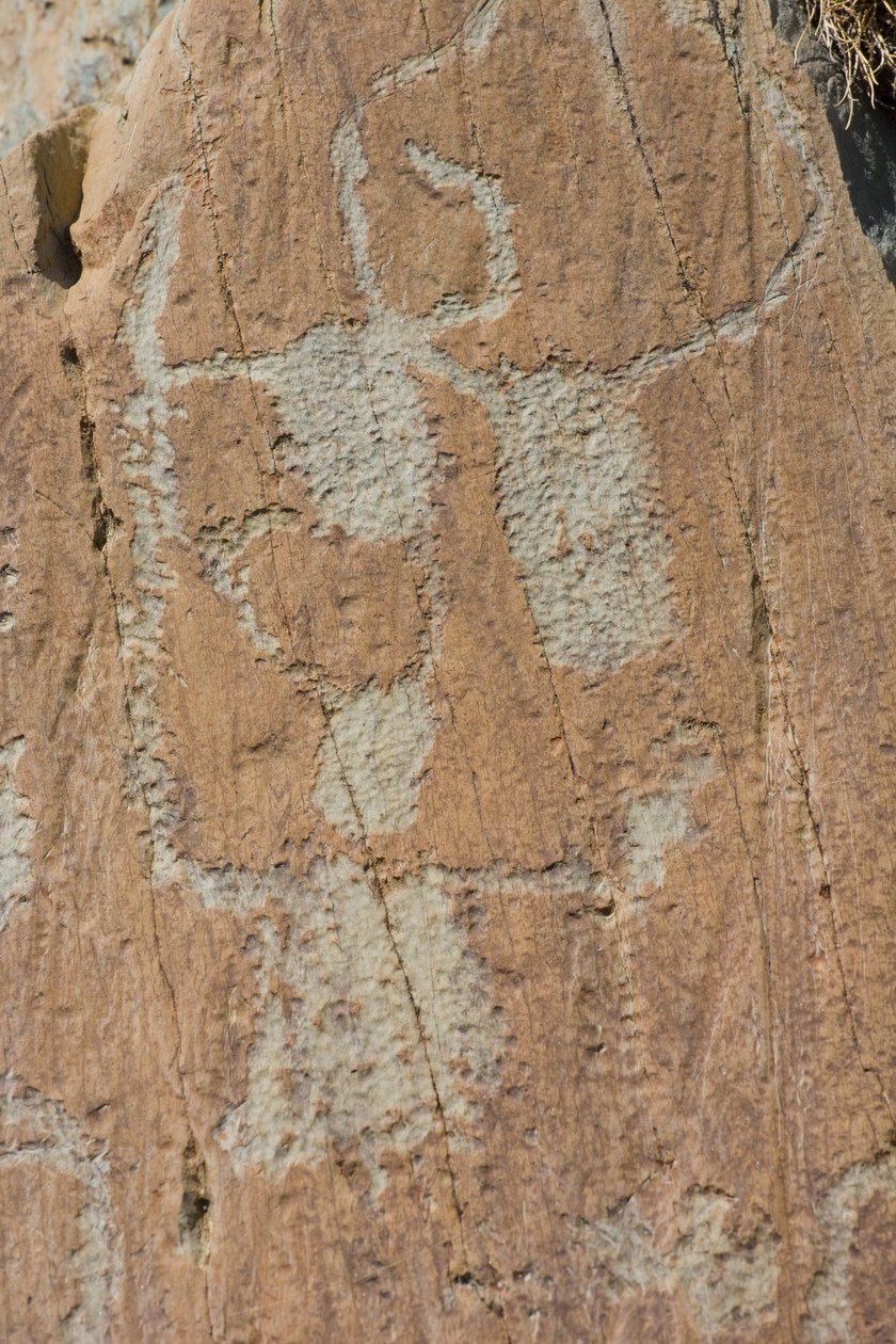 Kalliokaiverrukset Vallee de Fontanalba/Corniformes emboiteista tai karjasta/Mercantourin kansallispuisto/Tende/Alpes-Maritimes/Ranska tekijältä Unbekannt