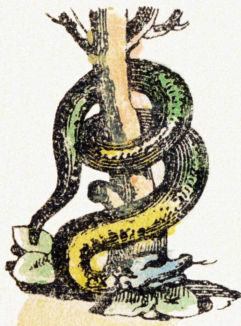 S - Serpent - Child Entertainment Alphabet n. 1890 (litografia) tekijältä Unbekannt