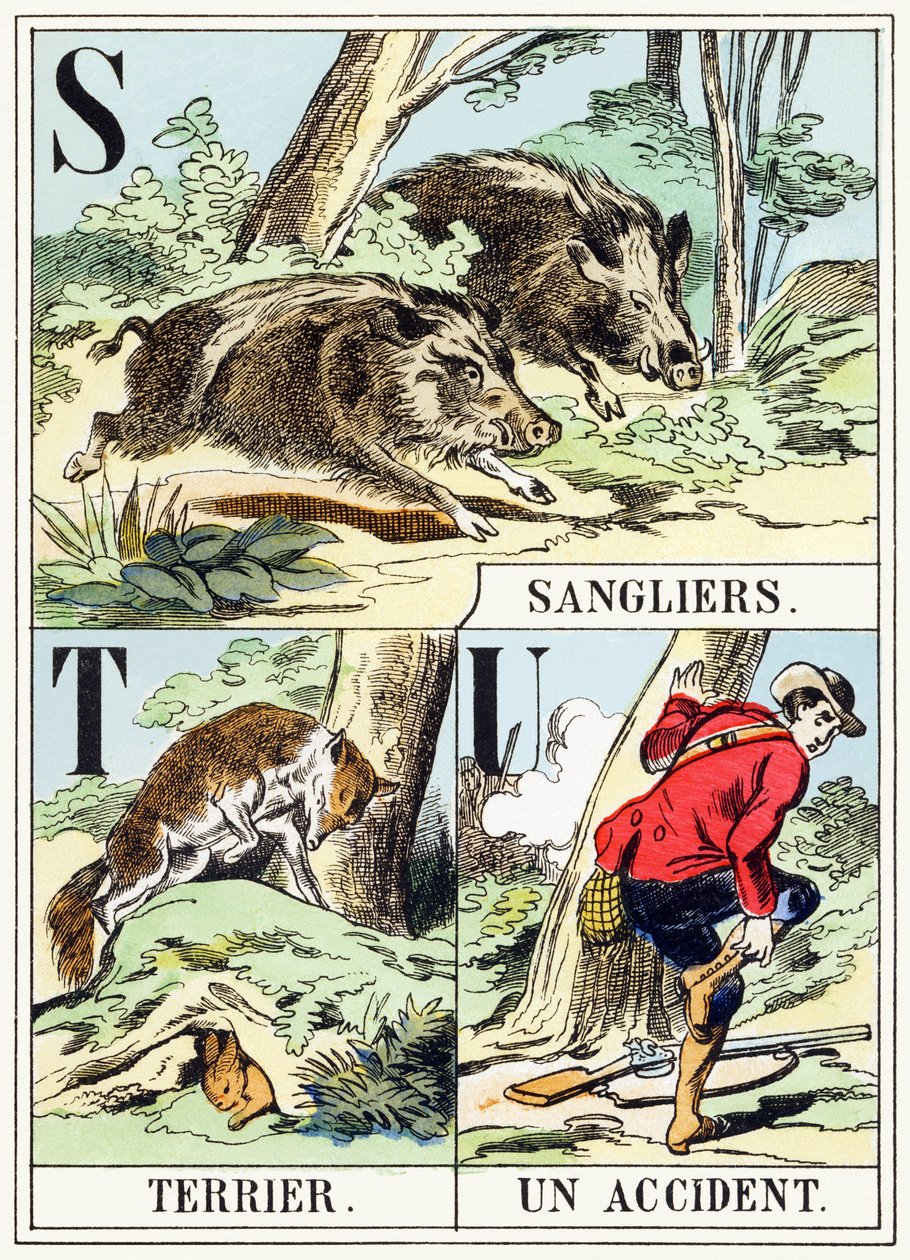 S T U : Sanglier, Terrieri, Un-onnettomuus - Metsästysaakkoset, n. 1890 (kaiverrus) tekijältä Unbekannt