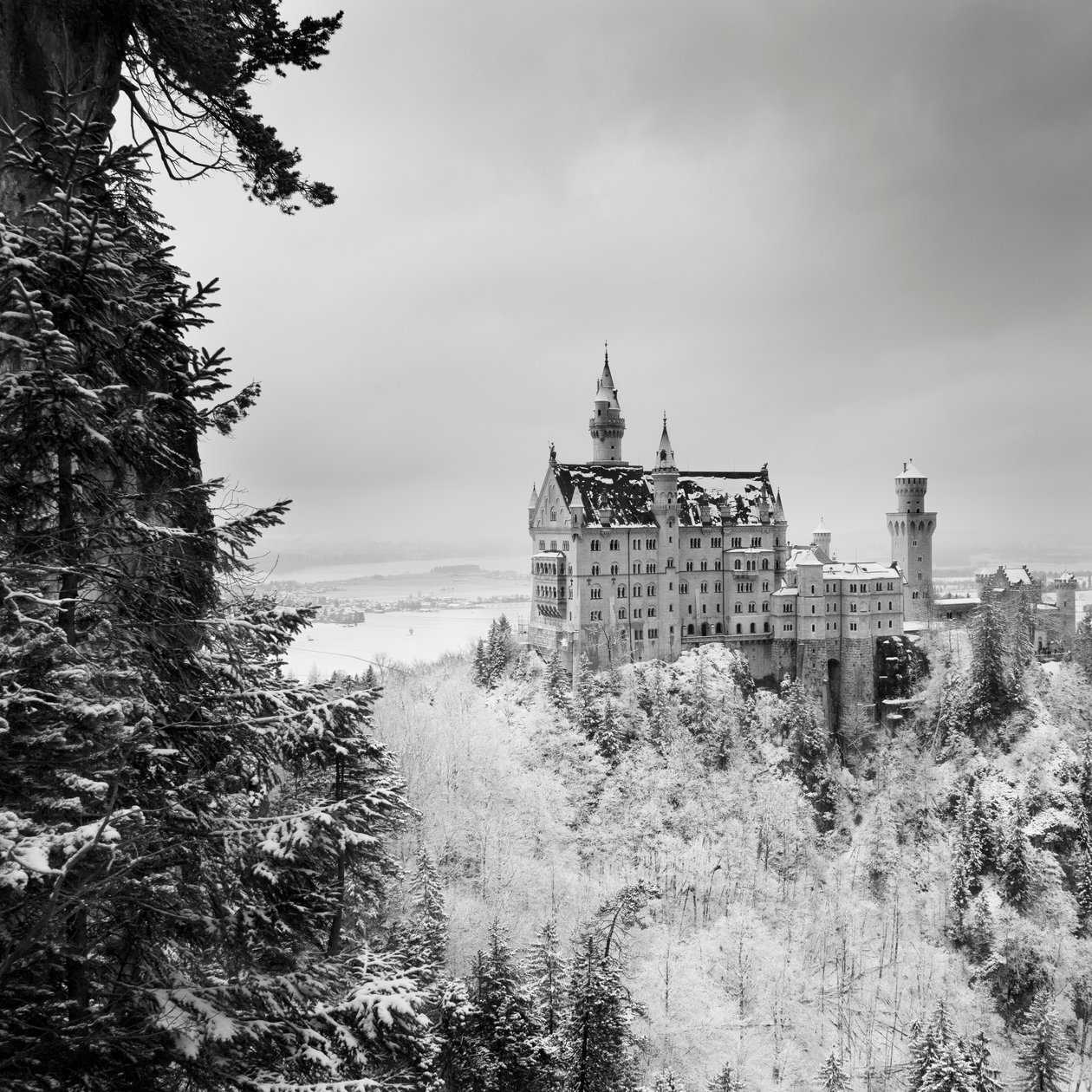 Neuschwansteinin linna, Füssen, Saksa, 2013 (b/w kuva) tekijältä Leopold Blonder