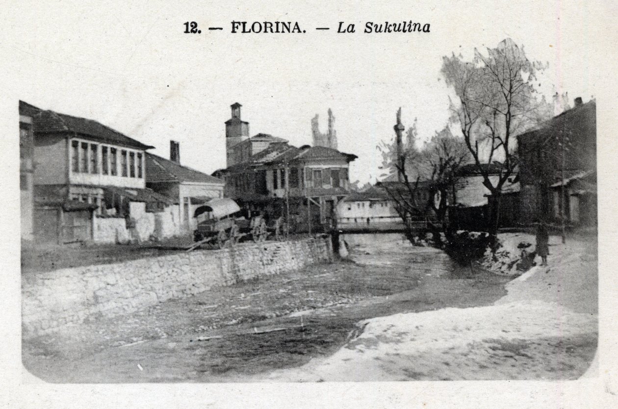 Serbia, Florina (nykypäivän Kreikka): näkymä Sukulinasta - Postikortti 1914-1918 tekijältä William M. Timlin