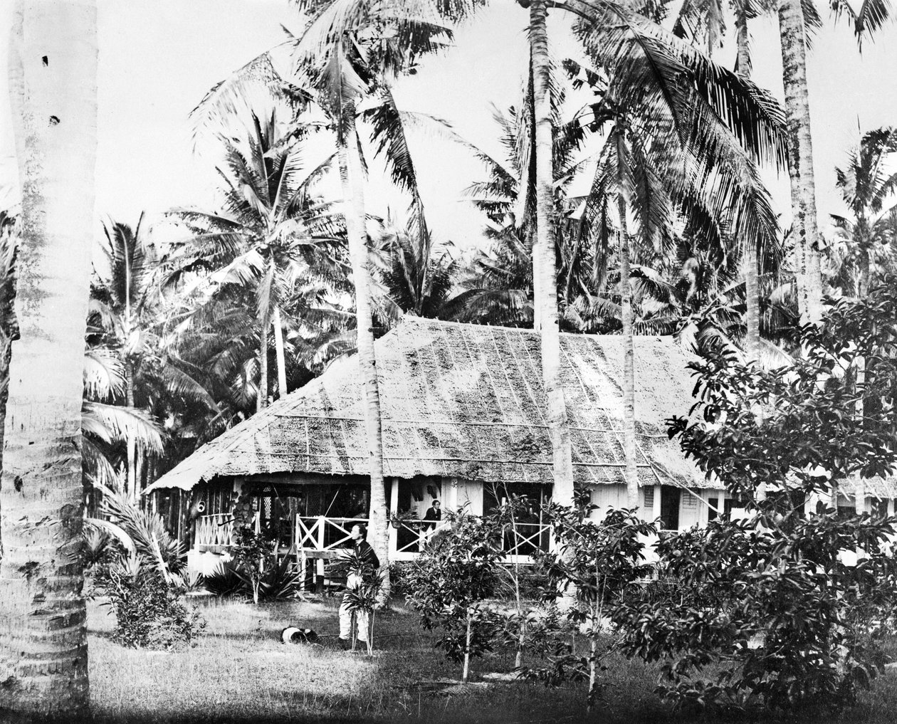 Singapore: Palmujen ympäröimä yksityinen bungalow. Singapore, 1875 tekijältä Unbekannt